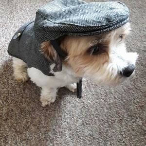 Meet your Posher, Robert